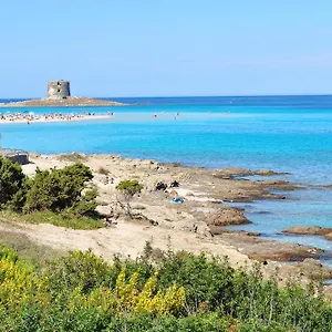 https://geranio-rosso-hotel-restaurant.in-sardinia.net